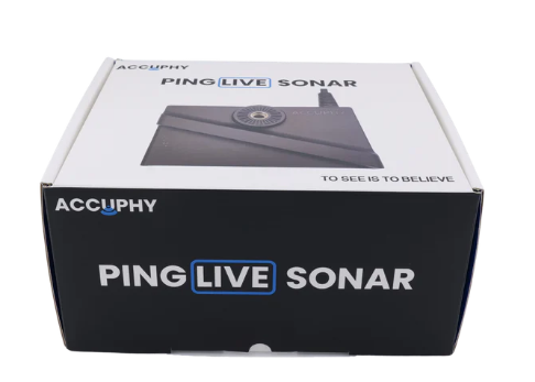 Accuphy PingLive 