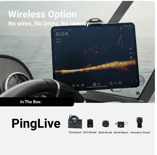 Accuphy PingLive 